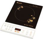 Induction Cooker 8810